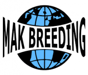 De-TelefoonCentrale-Mak-Breeding